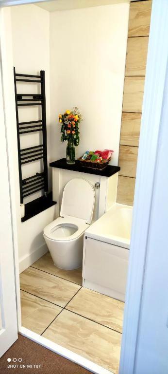 Surrey Quays Residency - Serviced Rooms Londres Exterior foto